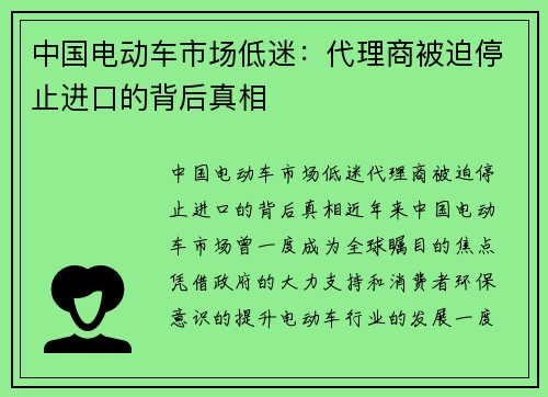 中国电动车市场低迷：代理商被迫停止进口的背后真相